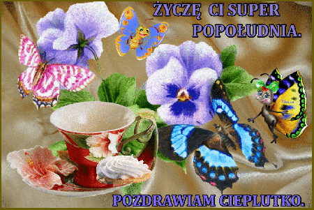 Życzę Ci super popołudnia pozdrawiam motylki